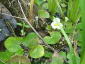 Фотография Kirillova Marina