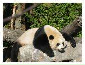 Фотография Красюкова Дмитрия