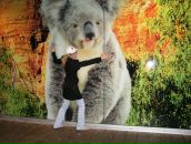 Анастасия Шекерова фотография #5 (источник - https://vk.com/id938957)