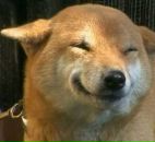 Фотография Калугиной Алёны