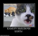 Олександр Матвійчук фотография #19 (источник - https://vk.com/id71645851)