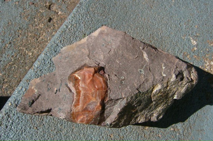 Лев Августский фотография #9