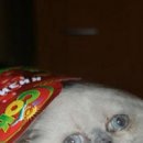 Віктор Максимяк фотография #26 (источник - https://vk.com/id133216322)
