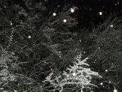 Ігорь Ігнатьев фотография #24 (источник - https://vk.com/id28343995)