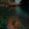 Віола Кравчук фотография #5 (источник - https://vk.com/id150959655)