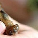 Каріно4ка♥ Шрамко фотография #5 (источник - https://vk.com/id147791993)