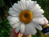 Фотография Михайловой Ольги