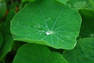 Диман Костенко фотография #1