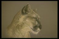 Фотография Деминой Натали