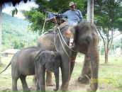 Фотография Богатырева Владимира