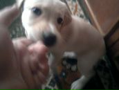 Максим Куварзін фотография #41 (источник - https://vk.com/id6530006)