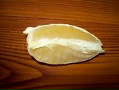 Богдан Гарасимів фотография #47 (источник - https://vk.com/id10491935)