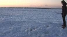 Фотография Кораблёва Платона