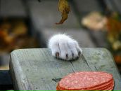 Фотография Доброславской Надежды