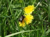 Фотография Размановой Анны