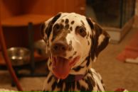 Фотография Кравченко Сашки