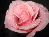 Фотография Костенко Ольги