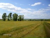 Фотография Морозовой Елены