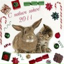 Фотография Воронцова Александра