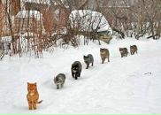 Олександр Потанін фотография #12 (источник - https://vk.com/id31452846)