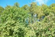 Вадзім Урублеускі фотография #7 (источник - https://vk.com/id14968982)