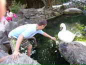 Ігор Павлишак фотография #33 (источник - https://vk.com/id23348574)