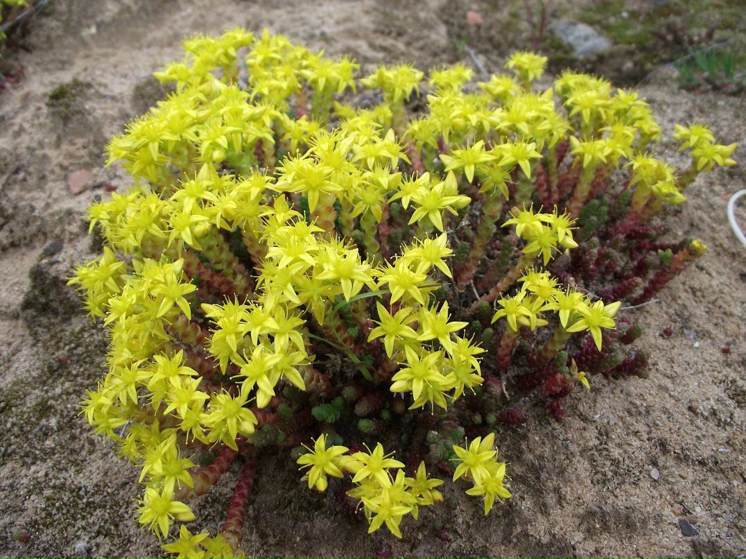 Аня Грищенко фотография #47