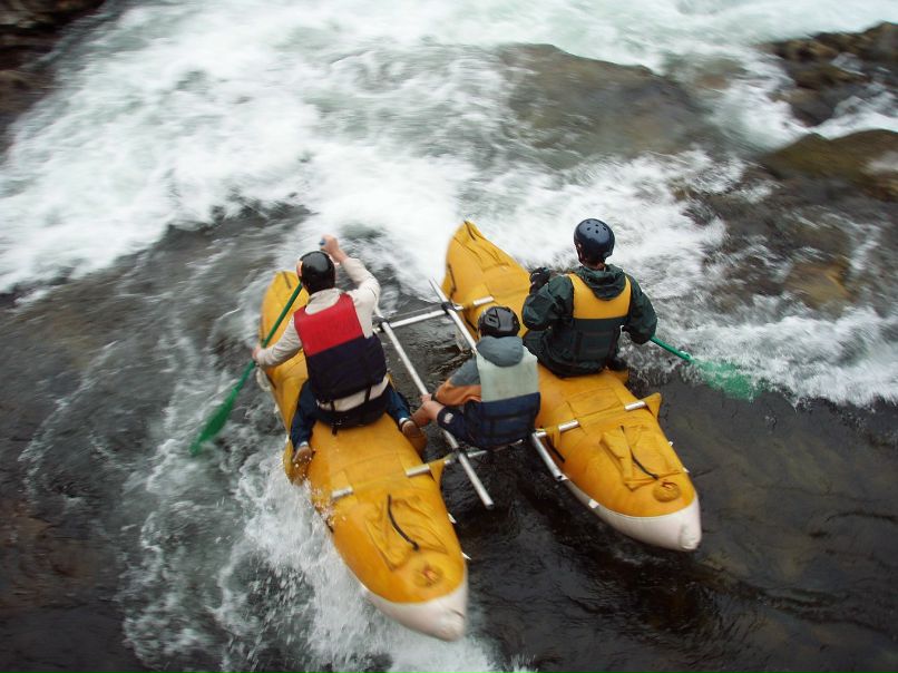 Елена Шевченко фотография #43