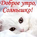Ірина Ленів фотография #44 (источник - https://vk.com/id140024531)