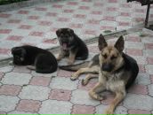 Володимир Павлів фотография #48 (источник - https://vk.com/id83585152)