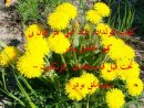 Hafiz Irgalı фотография #1