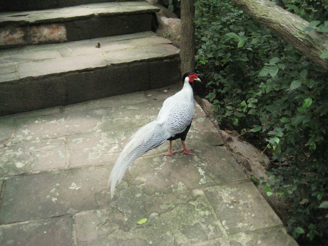 Клевый Парень фотография #37