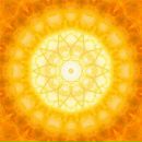 Фотография Pelevina Kseniya