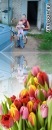 Фотография Анжела Скобелева