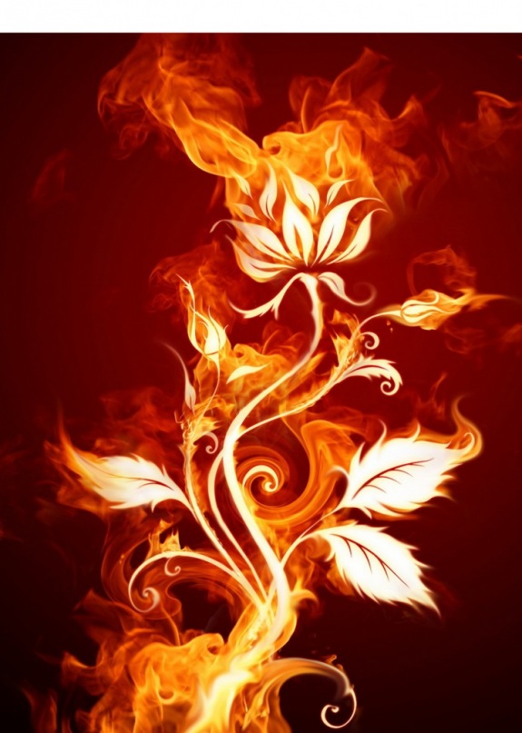 Семён Нестеров фотография #29