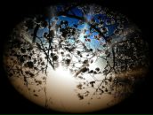 Фотография Пилявского Ивана