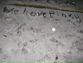 Иван Солодов фотография #42 (источник - https://vk.com/id9851335)