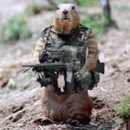 Фотография Зимина Наталья