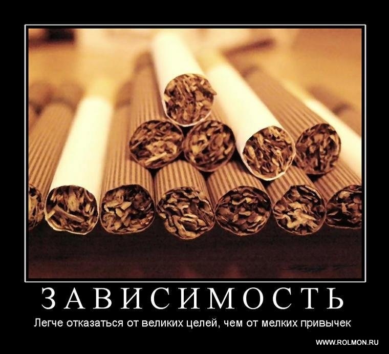Эдуард Орлов фотография #20