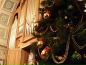 Фотография Андреевой Лидии