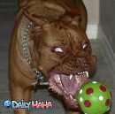 Сергей Бельдин фотография #40 (источник - https://vk.com/id13083149)