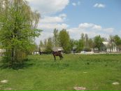 Віталій Тарасюк фотография #22 (источник - https://vk.com/id55734996)