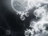 Ніка Нiка фотография #44 (источник - https://vk.com/id163858535)