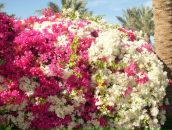 Фотография Хабибуллиной Ляли