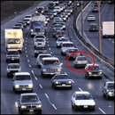 Сергій Величко фотография #34 (источник - https://vk.com/id164694174)