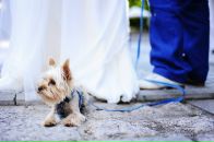 Оленка Колупаєва фотография #40 (источник - https://vk.com/id12729110)