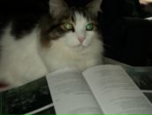 Фотография Максимовой Екатерины