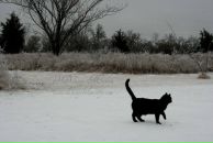 Фотография Кошкиной Анны