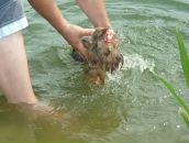 Фотография Пирогова Алексея