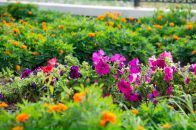 Павел Волк фотография #4 (источник - https://vk.com/id470503)